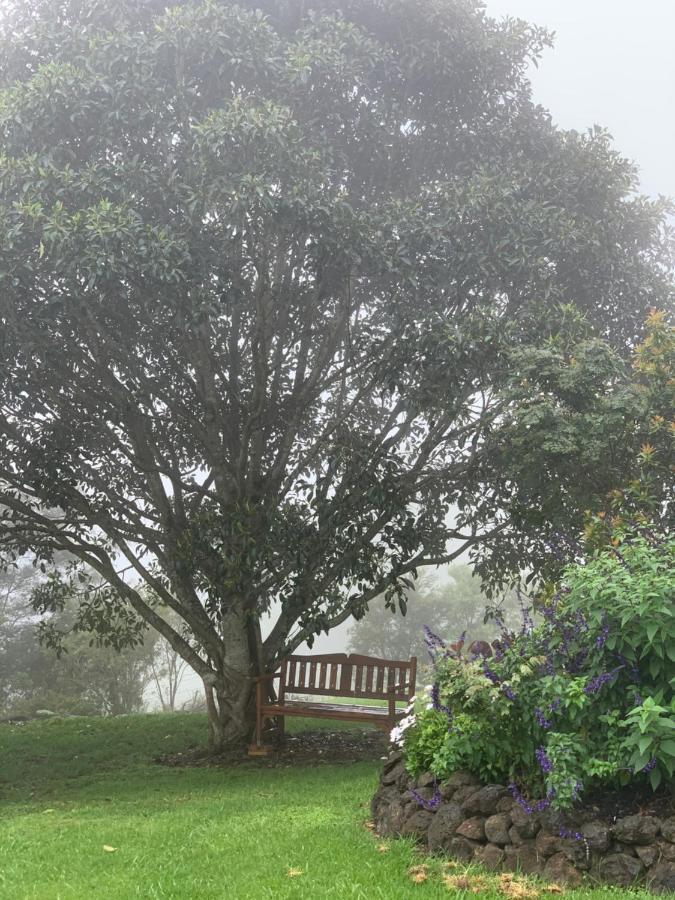 Cedarview Bed & Breakfast Beechmont Luaran gambar